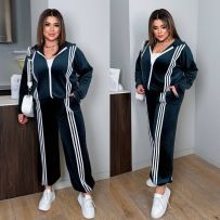 Костюм двійка №595417