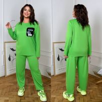 Костюм двійка зелений №597590