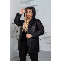 Куртка демі чорна №601444